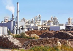 D2 Industrial Pulp and Paper